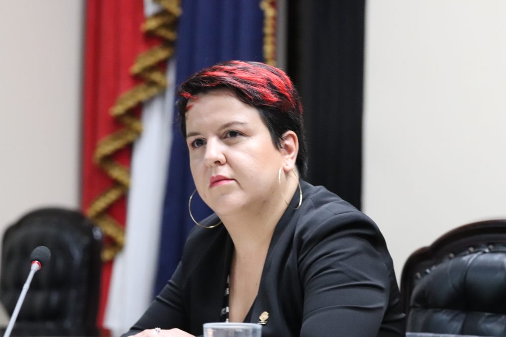 La diputada Laura Guido, del Partido Acci&oacute;n Ciudadana, present&oacute; un proyecto de ley para ayudar a impulsar la econom&iacute;a del sector de cultura y creatividad.