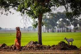 Imagen de mujer india en le campo