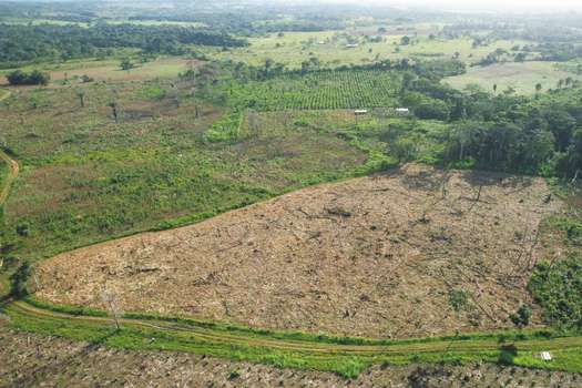 Entre 2018 y 2022 el 14 % de la deforestación de la Amazonia se concentró en los parques Tinigua, La Macarena, Picachos, Chiribiquete, La Paya y la Reserva Nukak. / Iván Muño