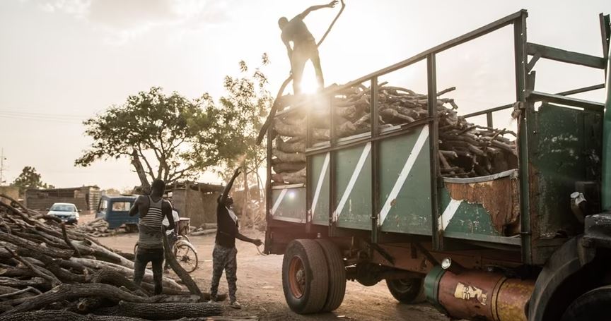personas descargando cami&oacute;n con madera