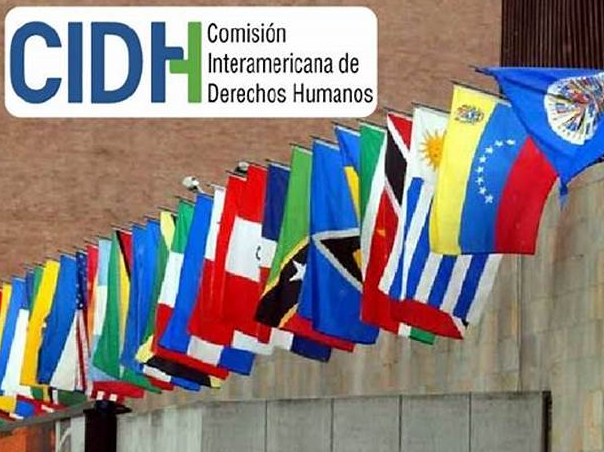 Comisión Interamericana de Derechos Humanos (CIDH)