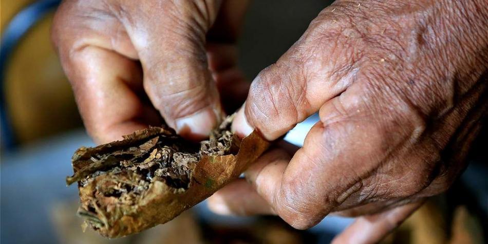 JEP orden&oacute; medidas urgentes de protecci&oacute;n a ind&iacute;genas Muina Murui