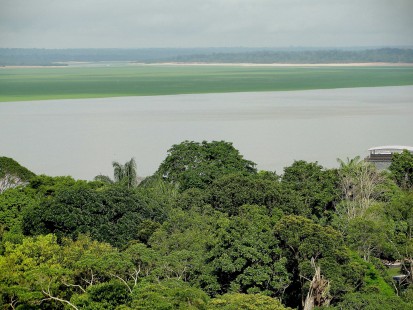 Fotografía de Bosque tropical rodeado de un río