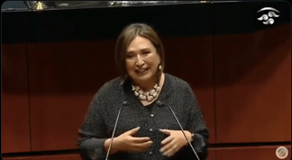 Imagen de X&oacute;chitl G&aacute;lvez Ruiz