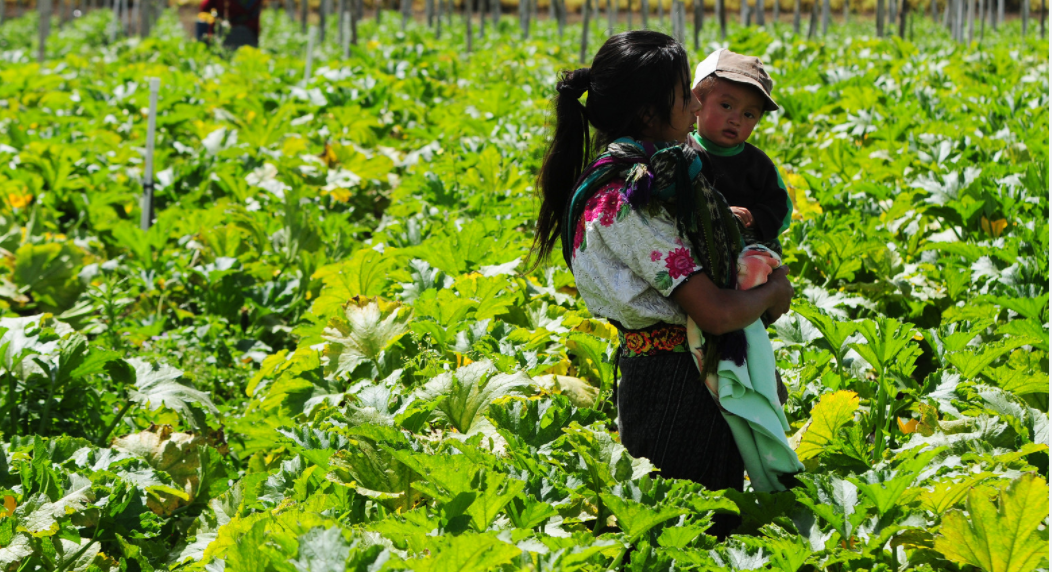 Mujer con ni&ntilde;o en brazos en finca en Guatemala.